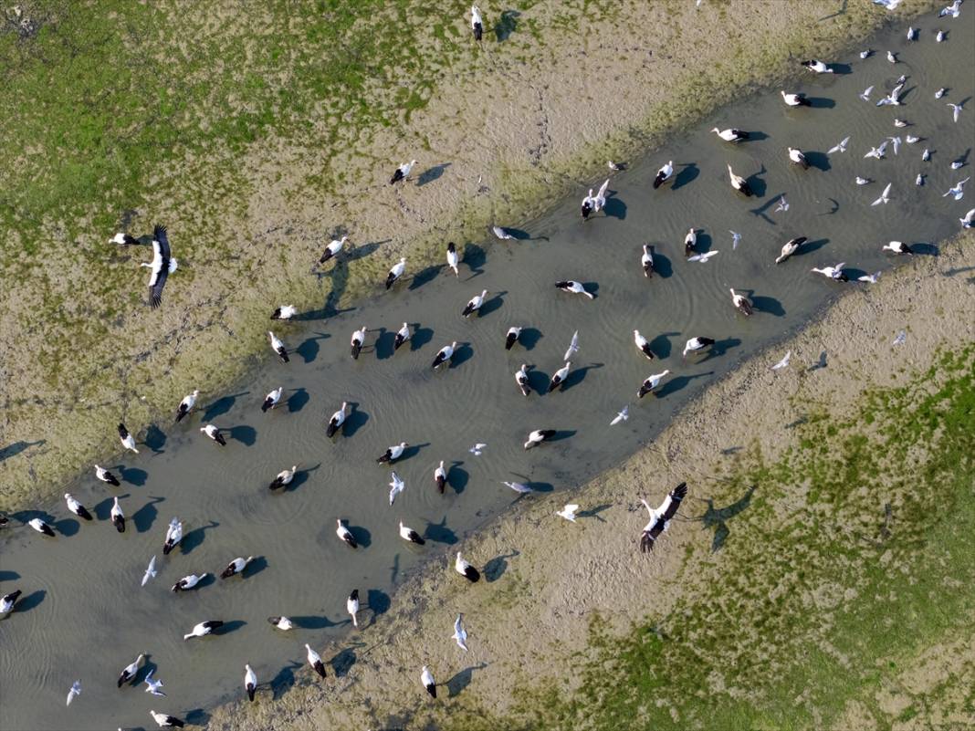 Gurbetçiler göç yolunda! Molayı Konya'da verdiler 4